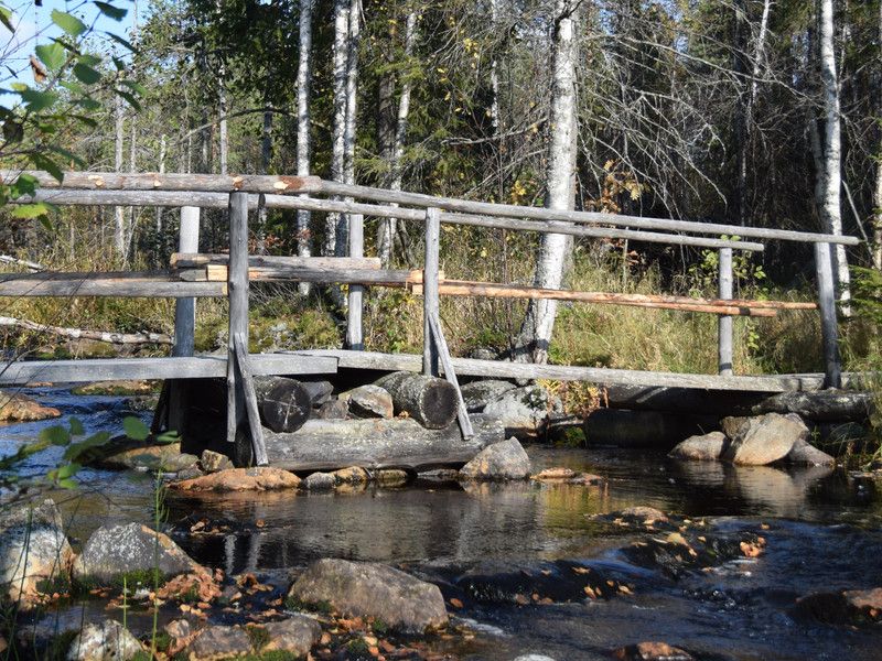 Добро пожаловать на обновленный сайт Ассоциации